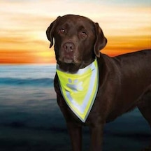 Köpek Bandanası 22-28 Cm Xs-s Çok Renkli