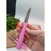 Sürbisa Meyve Takımı Pembe 6'lı 61007 7.0 Cm Çok Renkli