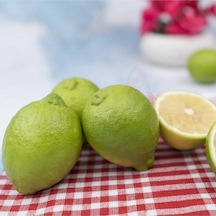 Kıbrıs Limon 80 Cm 100 Cm