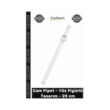 Özel Üretim Sağlıklı Ekolojik Şık Estetik Dekoratif Modern Cam Pipet Yüz Figürlü Tasarım 20 Cm