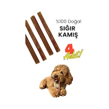 Havhav 4 Adet Sığır Kamış Çiğneme Çubuğu Köpek Ödülü