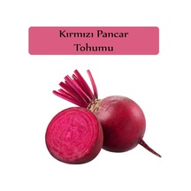Kırmızı Pancar Tohumu 10GR