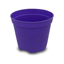 Nura Botanik Katı Plastik Sukulent Saksısı 15 Adet Koyu Mor 5.5 Cm