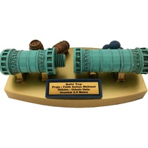 25cm