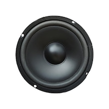 16 Cm Çıplak Hoparlör 6.5" - Pw-16.2