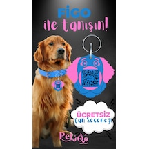 Petjoo 27.Figo Pembe-Mavi Qr'lı Köpek Künyesi