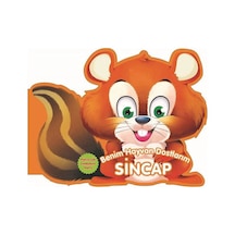 Benim Hayvan Dostlarım - Sincap