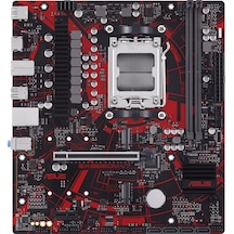 Asus EX-B650M-V7 AMD B650 8000 MHz (OC) DDR5 Soket AM5 mATX Anakart