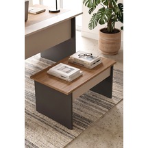 Robin Home Nexus 72x45 Cm Ofis Sehpası Orta Sehpa Sepet-kumsal-antrasit Kahverengi