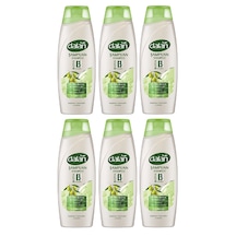 Dalan Şampuan Zeytinyağlı Onarıcı Bakım 450 Ml X 6 Adet