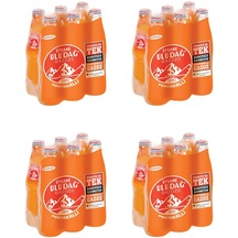Uludağ Efsane Gazozu Portakallı 250 Ml X 24 Adet