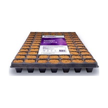 Plagron Nextgen Grow Plug 84 Göz Viyöl Diğer