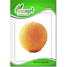Ananas Kavun Tohumu