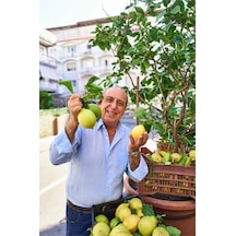 Gennaro's Limoni: Vibrant Italian Recipes Celebrating The Lemon