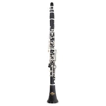 Roy Benson Cg-220 Bb Klarnet Profesyonel - Alman Sistem Si Be