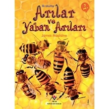 İlk Okuma - Arılar ve Yaban Arıları - James Maclaine - Tübitak Yayınları