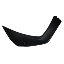 Pion