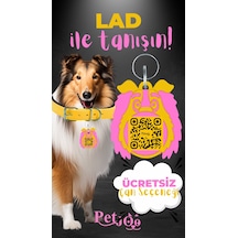 Petjoo 23.Lad Pembe-Sarı Qr'lı Köpek Künyesi