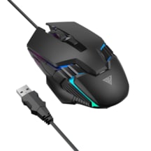Gs4