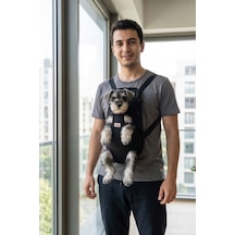 Kedi Ve Köpekler İçin Anakucağı Xs 5974