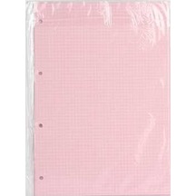 Dilman Kolej Yedeği A4 Kareli Pembe