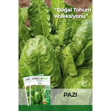 400 Adet Yerli Ata Geniş Yaprak Pazı Tohumu