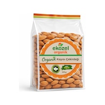 Organik Kayısı Çekirdeği-21 250 G