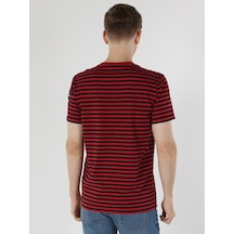 Colin'S Regular Fit Bisiklet Yaka Çizgili Kırmızı Erkek Kısa Kol Tişört Cl1063621_Q1.V1_Red