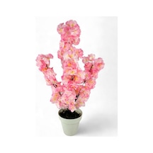 Yapay Ağaç Bahardalı Ağacı Pembe Japon Kiraz Çiçeği Sakura Çiçeği 70cm Beyaz Plastik Saksılı
