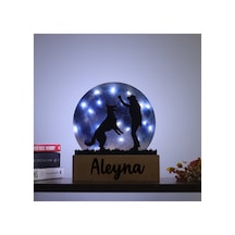 Led Işıklı Pleksi Dolunay Kişiselleştirilebilir Biblo Ruth Köpekle Oynayan Adam Anahtar Askılığı Mavi - 737330689 Mavi