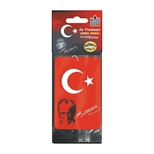 Asma Karton Koku Türk Bayrağı-atatürk Açık Gri