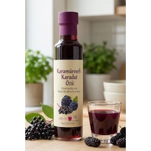 Beyorganik Pestisit Analizli Karamürverli Karadut Özü 250 ML