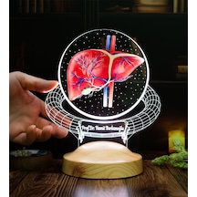 Karaciğer Hepatolog Uzmanına Hediye Kişiye Özel Gastroenteroloji & Hepatoloji Doktoru Led Lamba, Karaciğer Tasarımlı Tıp Hediyesi
