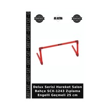 Delux Serisi Hareket Salon Bahc E Scx-1243 Zıplama Engelli Geçmeli 25 Cm Çok Renkli