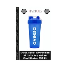 Delux Serisi Antrenman Aktivite Dış Mekan Cool Shaker 650 Cc