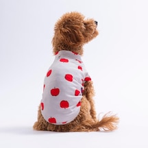 Apple Pop Elma Desenli Kedi Köpek Sweati - Kedi Köpek Kıyafeti-kedi Köpek Sweati