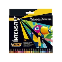 Bic Keçeli Kalem Intensity Premium 24 Renk