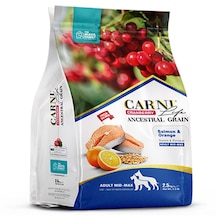 Carni Life Cranberry Ancestral Grain Salmon & Orange Med&Maxi Yetişkin Köpek Maması 12 KG