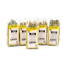 Tokasya Aslan Pencesi Otu 5 x 25 G