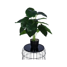 Yapay Çiçek Sitesi Yapay Difenbahya Bitkisi 65 Cm Koyu Yeşil Koyu Yeşil Yapay Çiçek Sitesi Yapay Difenbahya Bitkisi 65 Cm Koyu Yeşil Koyu Yeşil