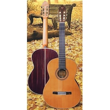Valencia Custom Cgltd5 Klasik Gitar