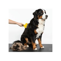 Kedi &amp Köpekler İçin Tüy Alıcı 7 Cm