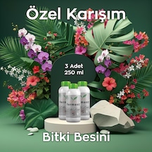 Bitki Besini Üçlü 250 Ml 3 Adet Hızlı Etkili Genel Bakım Ve Canlandırma Kürü 250 ML