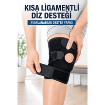 Düz Renkli