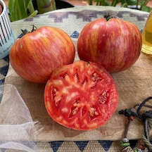 Nadir Çizgili Big Cheef Stripes Domates Tohumu 15 Tohum