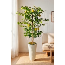 Premium Yapay Limon Ağacı 170 Cm - 8 Limonlu 56x30x20 Kumsal Saksılı Beyaz