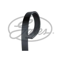 Gates Roadmax1920k6 Kayis