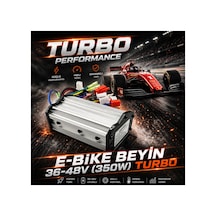 E-bike Beyin 36v-48v Turbo 350w Diğer