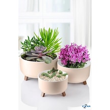 Tripot Saksı Bej, 3 Boy