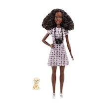 Barbie Kariyer Bebekleri Dvf50-hcn10